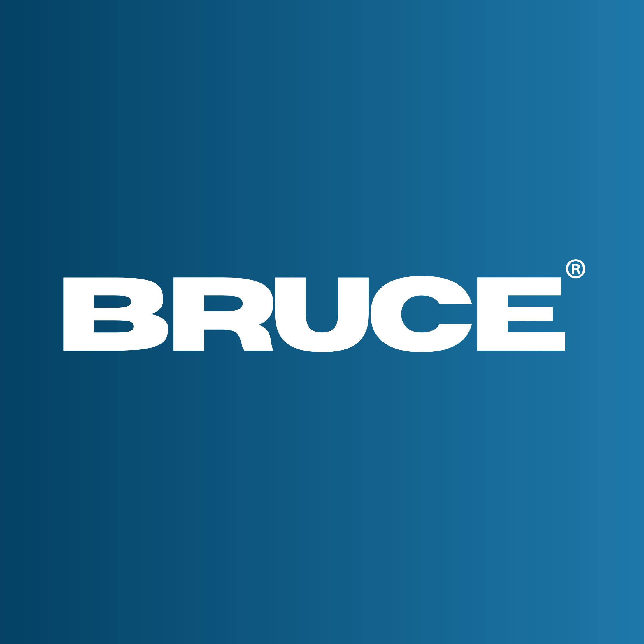 Home page – BRUCE | US
