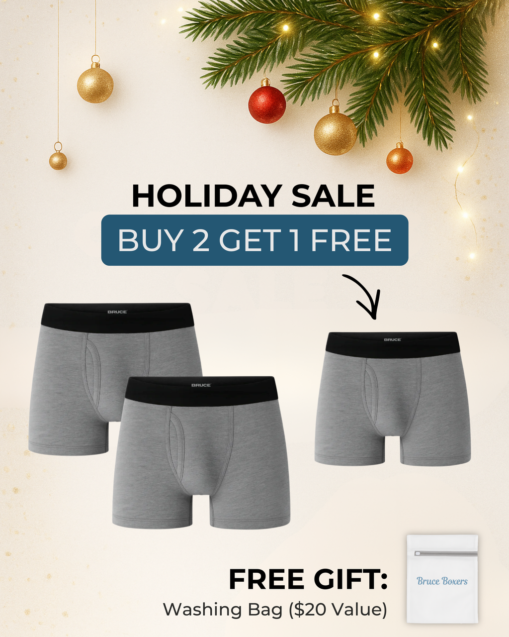 Bruce’s Signature Leakproof Boxers (2+1 FREE)