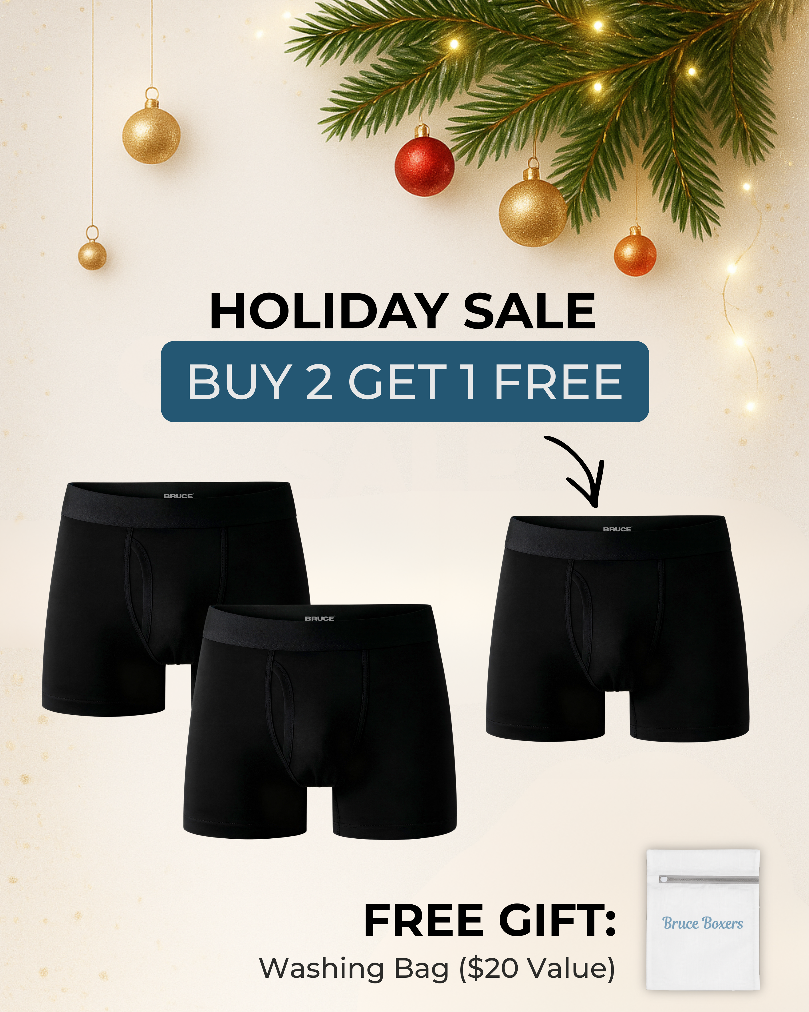 Bruce’s Signature Leakproof Boxers (2+1 FREE)