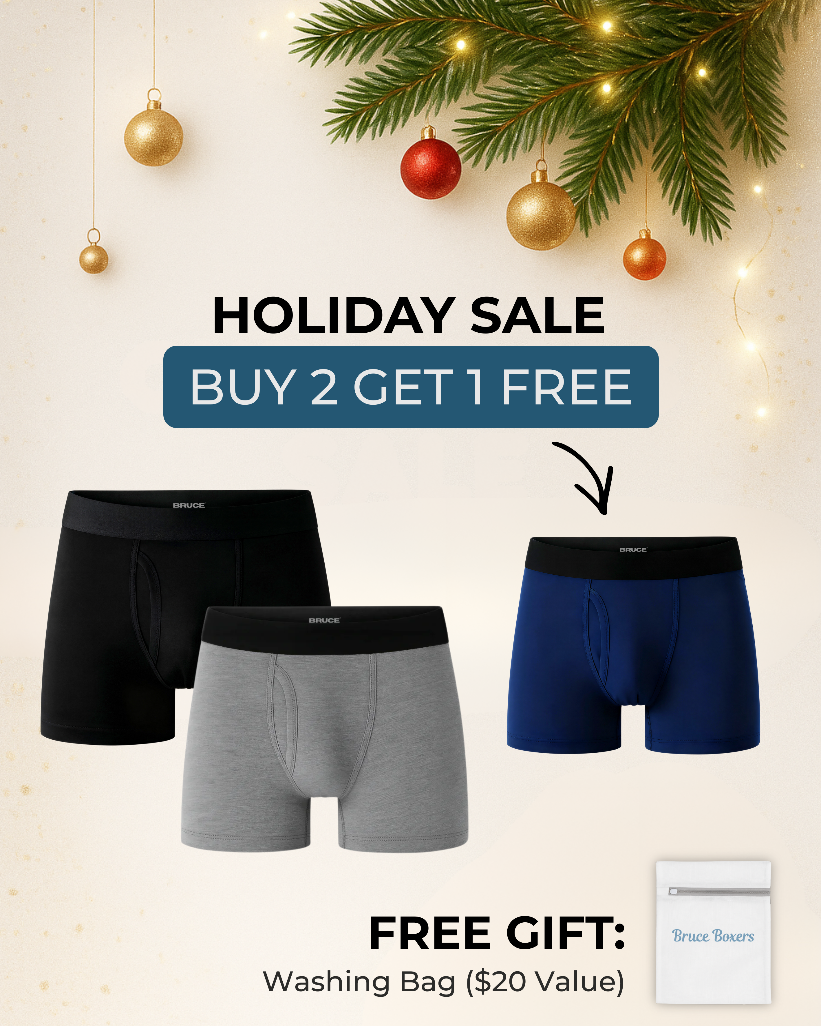 Bruce’s Signature Leakproof Boxers (2+1 FREE)