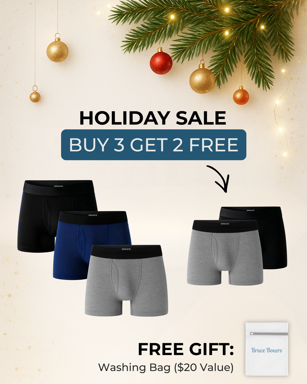 Bruce’s Signature Leakproof Boxers (3+2 FREE)