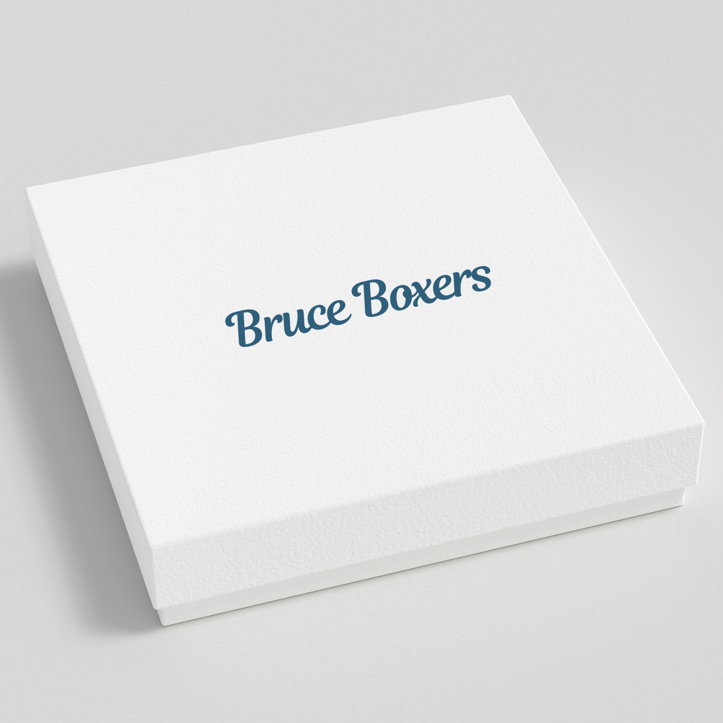 Bruce’s Signature Leakproof Boxers (3-Pack)